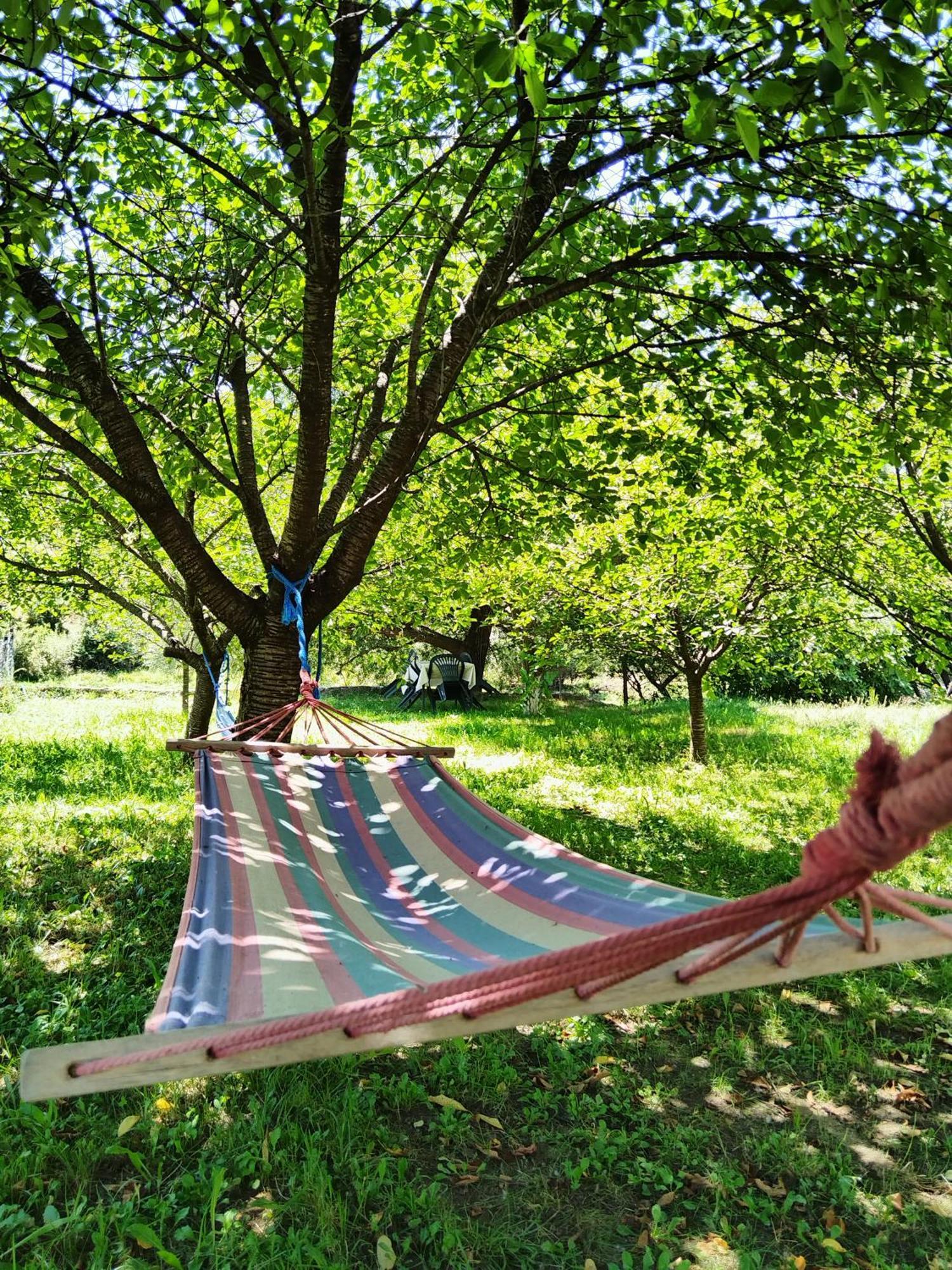 Apartments Pasha Blagaj Bilik gambar